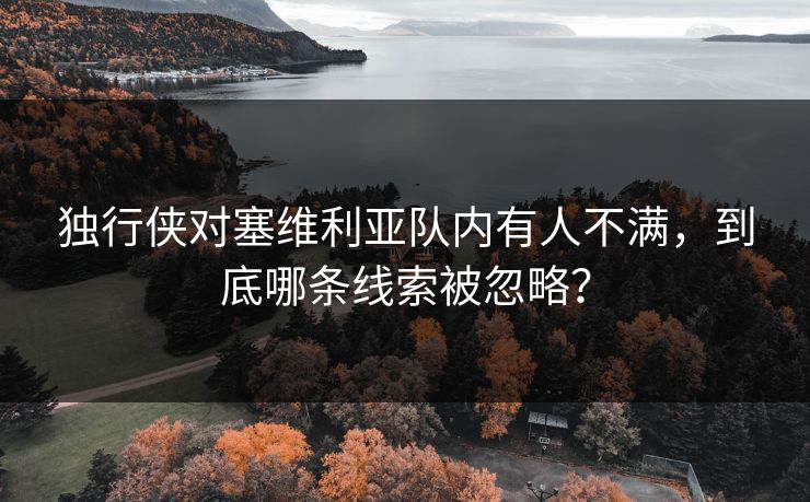 独行侠对塞维利亚队内有人不满，到底哪条线索被忽略？  第1张