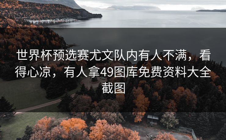 世界杯预选赛尤文队内有人不满，看得心凉，有人拿49图库免费资料大全截图