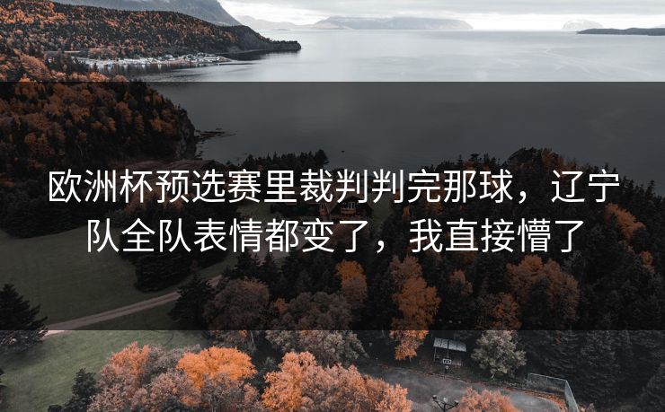 欧洲杯预选赛里裁判判完那球，辽宁队全队表情都变了，我直接懵了  第1张