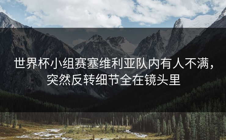 世界杯小组赛塞维利亚队内有人不满，突然反转细节全在镜头里