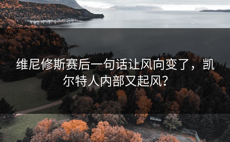 维尼修斯赛后一句话让风向变了，凯尔特人内部又起风？  第1张